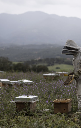 Vols contactar amb nosaltres?