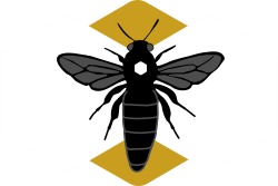 Venta de enjambres de abeja negra langstroth y layens. De 90 a 100 euros.