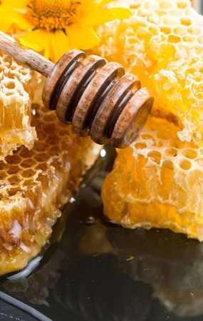 Venda de mel de producció pròpia